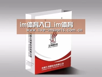 项目名称十三