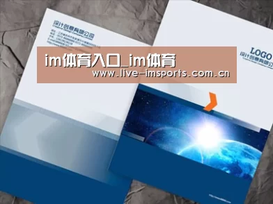项目名称十