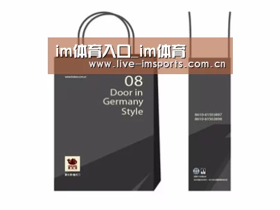 项目名称十四