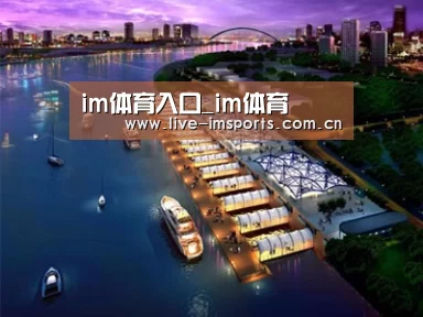 案例展示八