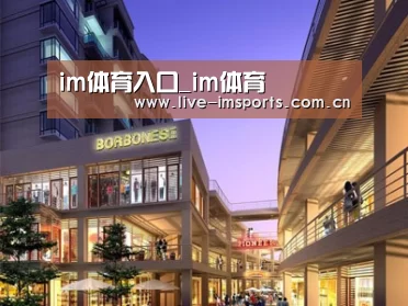 案例展示一