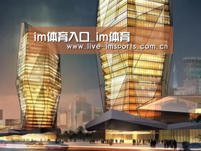 案例展示三
