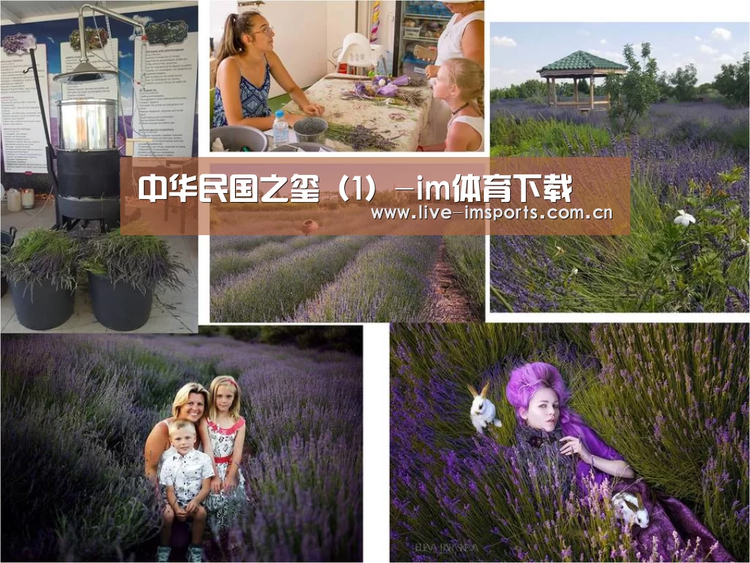 中华民国之玺(1)-im体育下载(图2) im体育下载