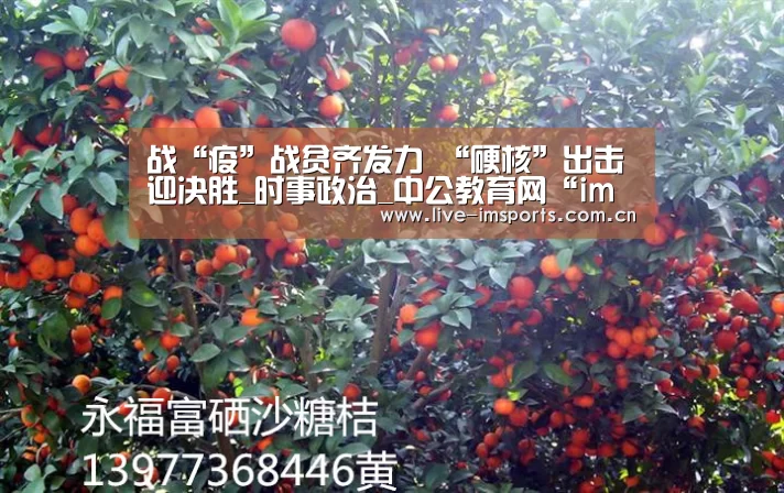 战“疫”战贫齐发力 “硬核”出击迎决胜_时事政治_中公教育网“im体育官网”(图3) im体育官网