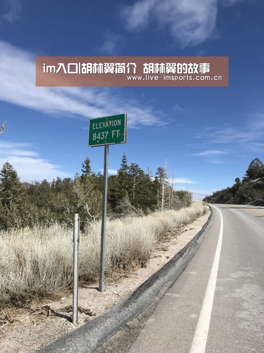 im入口|胡林翼简介 胡林翼的故事(图1) im体育下载